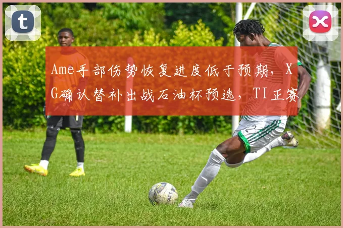 Ame手部伤势恢复进度低于预期,XG确认替补出战石油杯预选,TI正赛席位悬了吗?